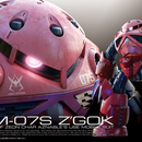 RG Z'Gok