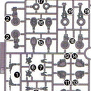 HG WFM Michaelis B1-5