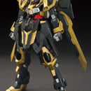 HGBF Schwarzritter